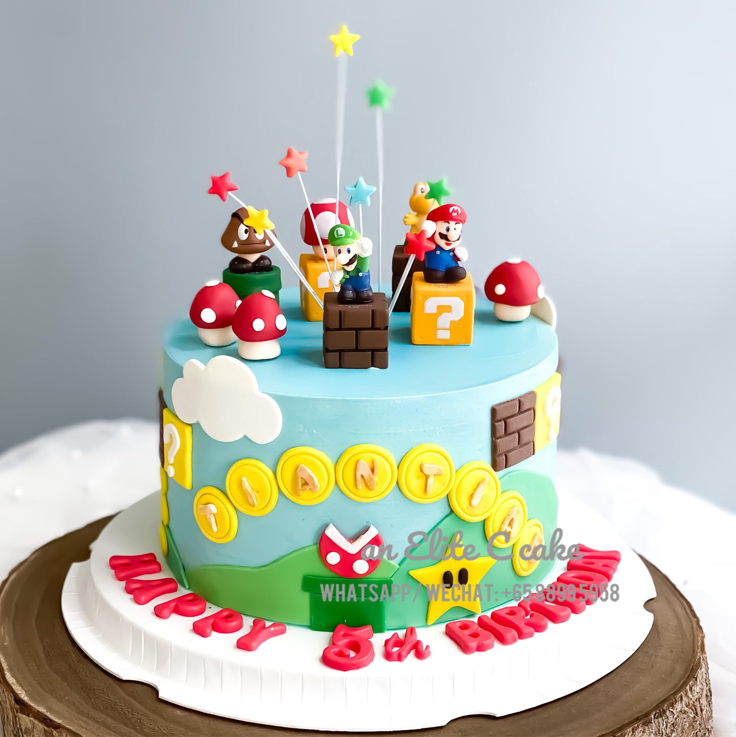 Game Inspired Cake: Heroes of the Mushroom Kingdom!