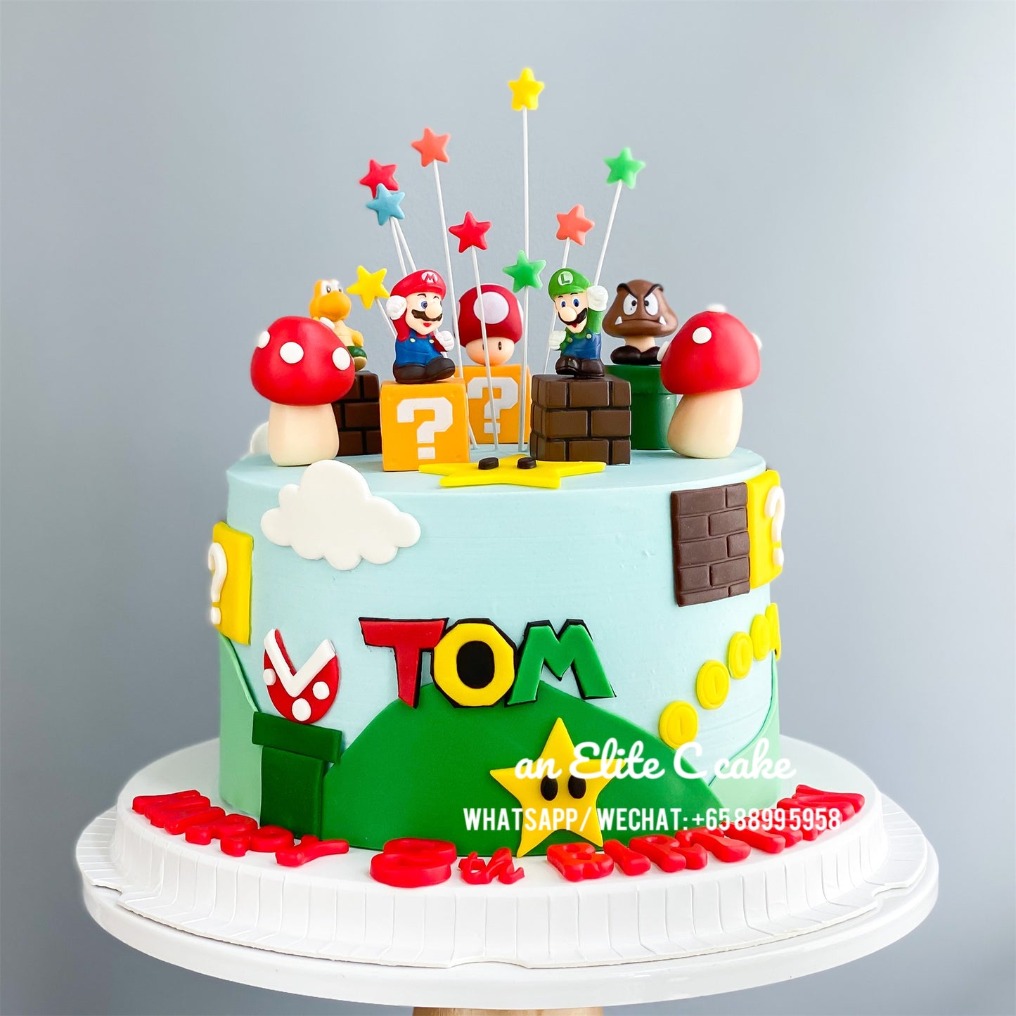 Game Inspired Cake: Heroes of the Mushroom Kingdom!