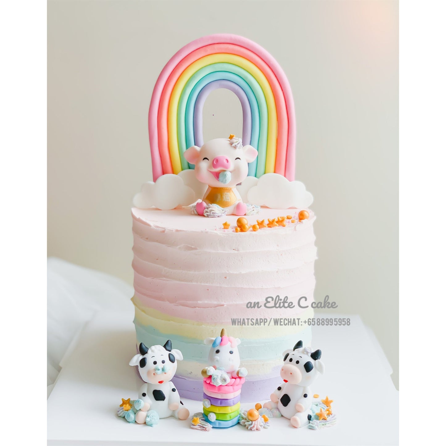 Rainbow Themed Cake: Piggy and her friends