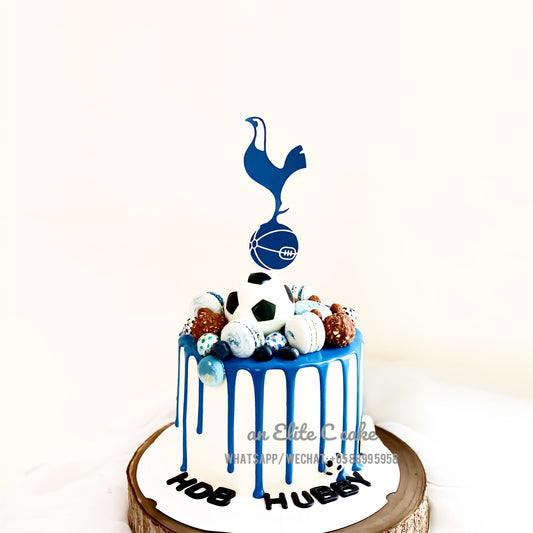 Sports Cake: Favourite Soccer Team